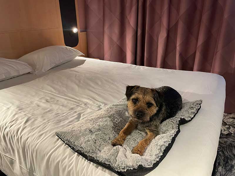 Frequent traveller Chip: Chip overnighted with us in our hotel room