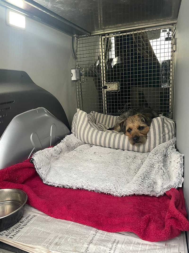 Very comfy and cosy