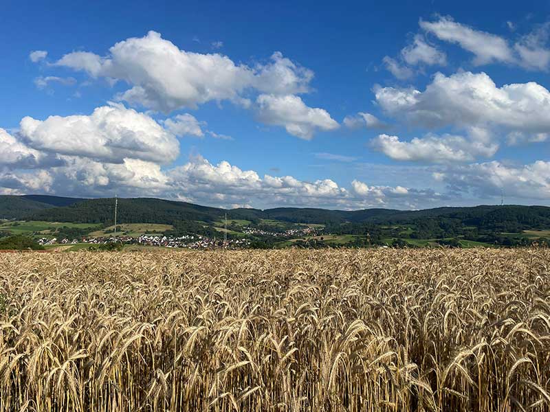 We enjoyed exploring the German countryside along the way
