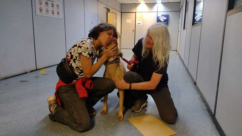 A joyful reunion for Bartira with Lulu and her partner