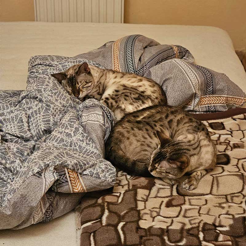 What an adorable pair!