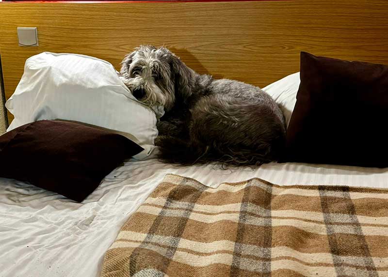 Buddy shared Richard's hotel rooms