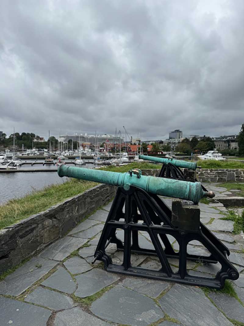 It wouldn't be a real fortress without a few cannons!