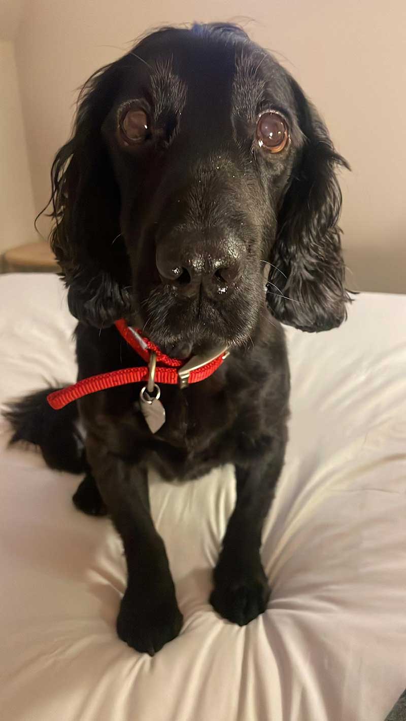 Happy Christmas reunions: Sweet, handsome Billy