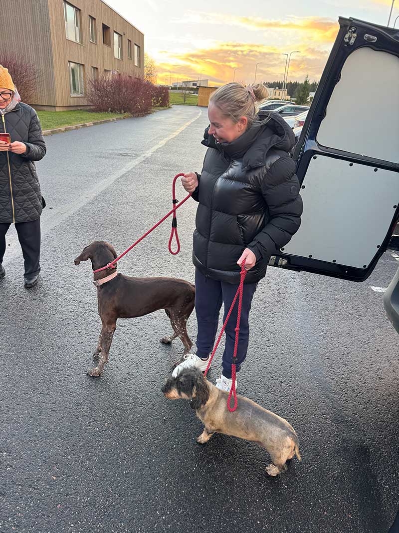 Frankie and Bruce travelled with us from the UK to Tallinn, the Estonian capital, where Katlin was overjoyed to be reunited with them