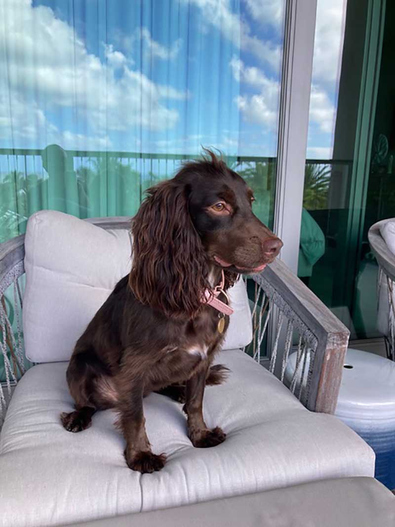 Frequent flyers: Lovely Lola