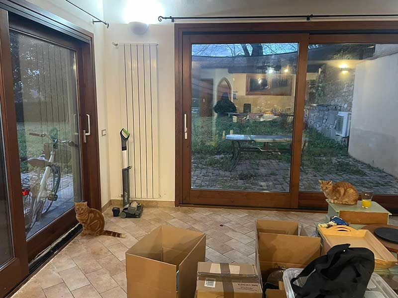 Given all the packing boxes, the cats knew something was up!