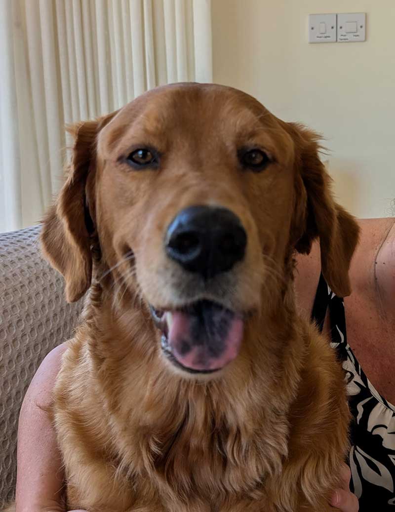 Frequent flyers: Janice says Max loves having his photo taken and has a special camera-ready smile. We have to agree!