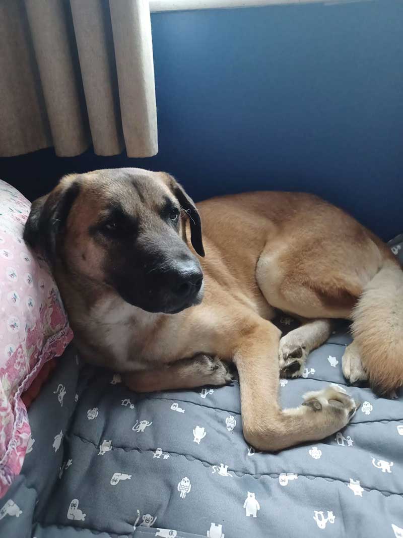 A handsome fellow