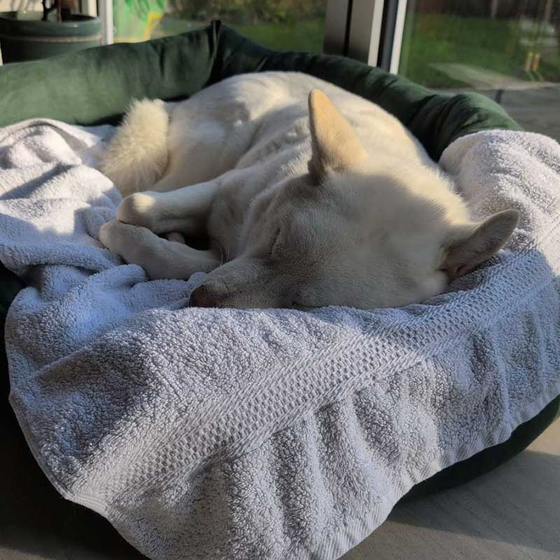 Relaxed enough for a snooze