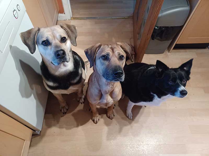 All alert and curious