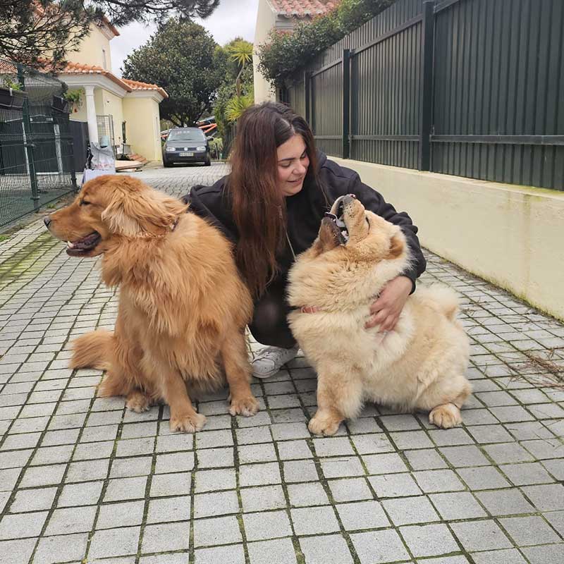 A warm welcome for Simba and Violetta on their arrival in Portugal