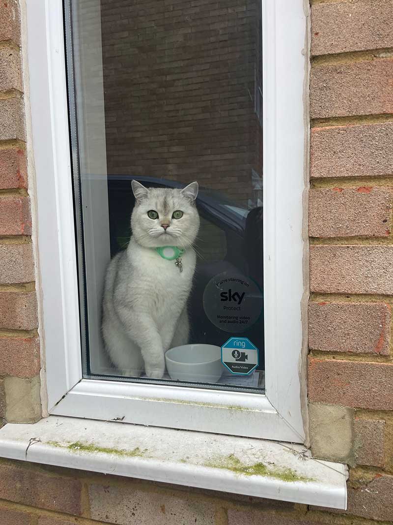 Noodle keenly watching out for our arrival