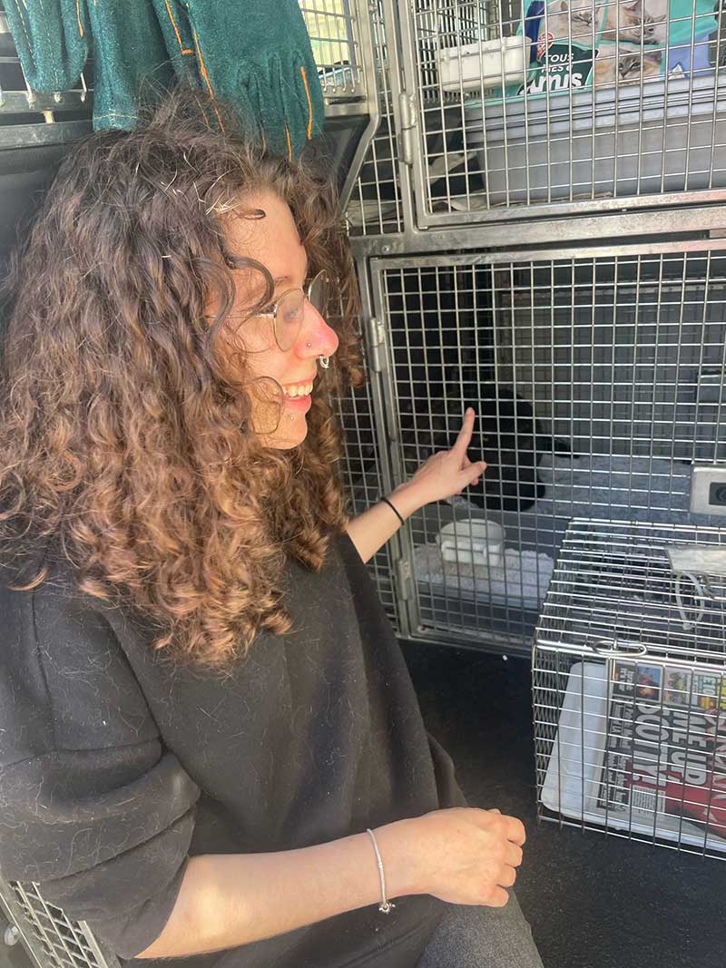 Sophie seeing the cats away