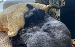 James sent this charming photo of Dee at her new home