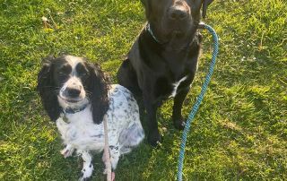 Such a well behaved pair!