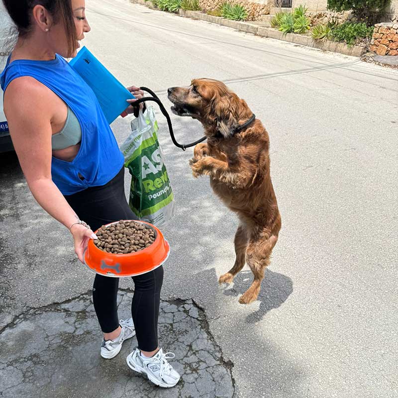 Cooper literally jumping for joy — or maybe for food!