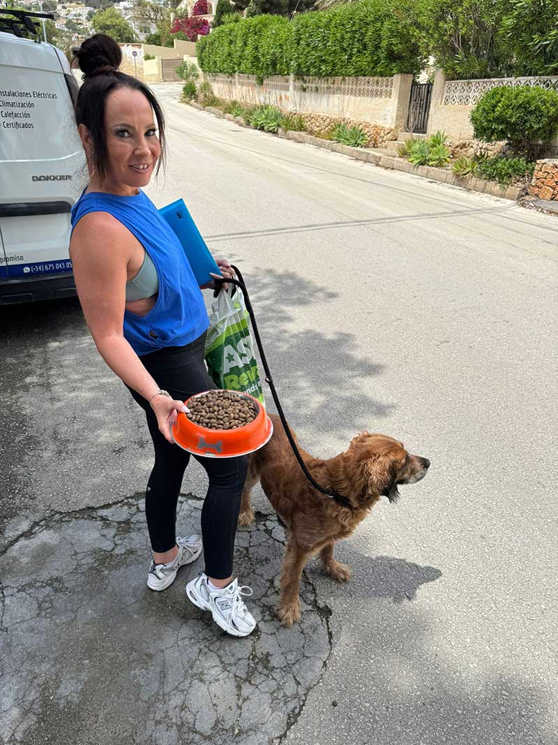 Travelling in southern Europe: Cooper reunited with owner Alison in Spain