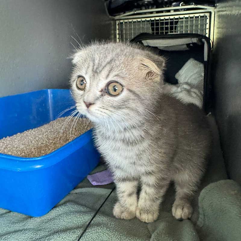 What a little cutie!