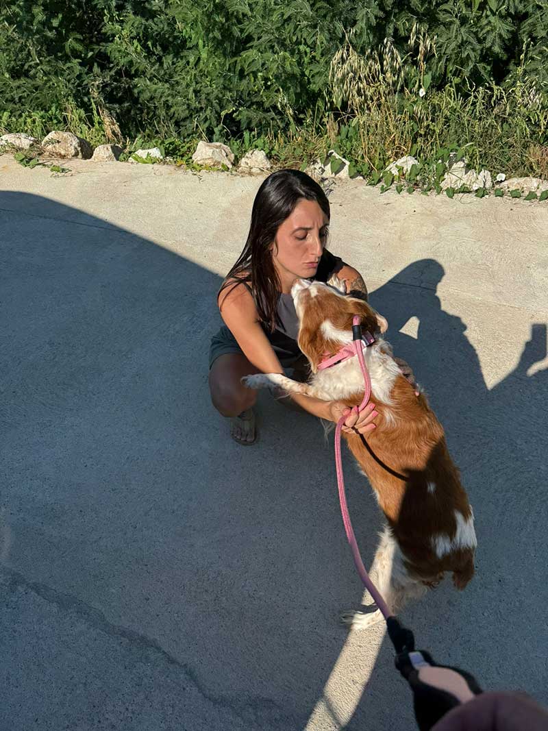 A happy reunion for Lilly with owner Sylvia in Cosenza in southern Italy