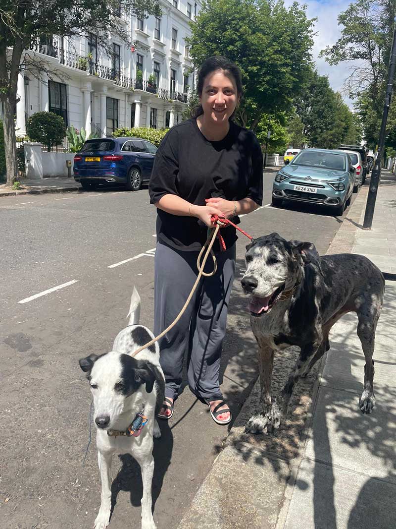 Owner Gulce delighted to be reunited with her gorgeous dogs in London