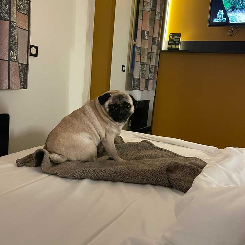We spent two nights in hotels along the way