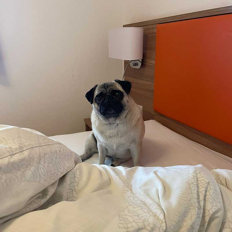 Betty happy was happy to test the beds!
