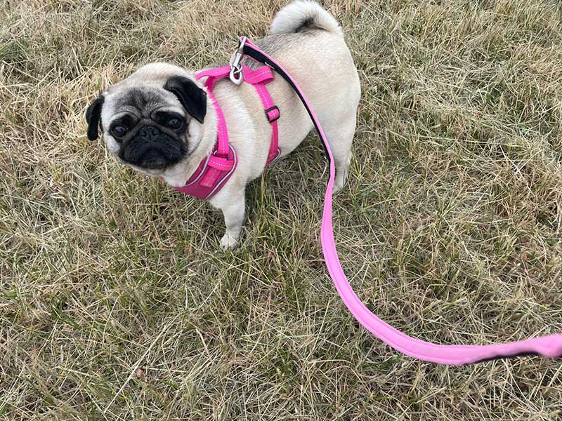 She enjoyed plenty of opportunities to stretch her legs