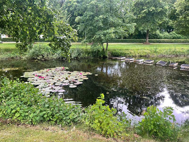 We found a beautiful park in Denmark for a walk