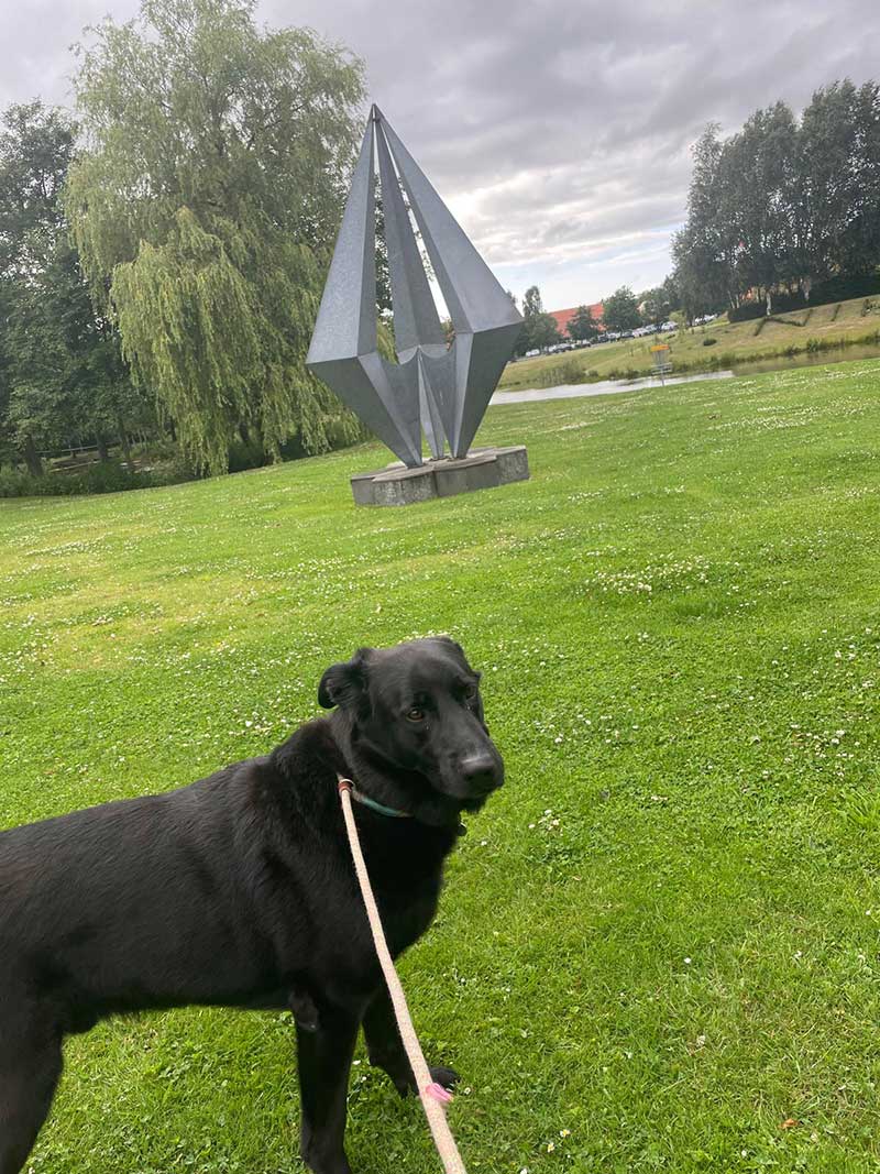 Floki and courier Gwen admired this sculpture