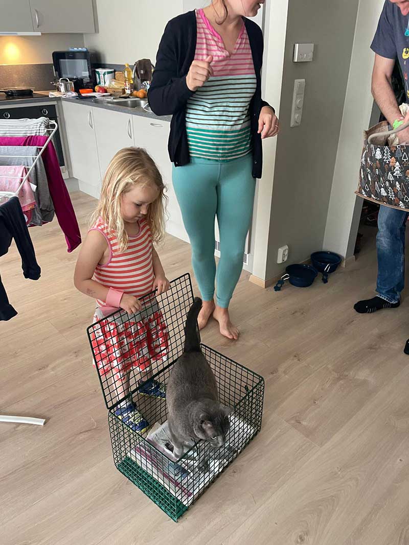 Dusty ready to explore the new family home