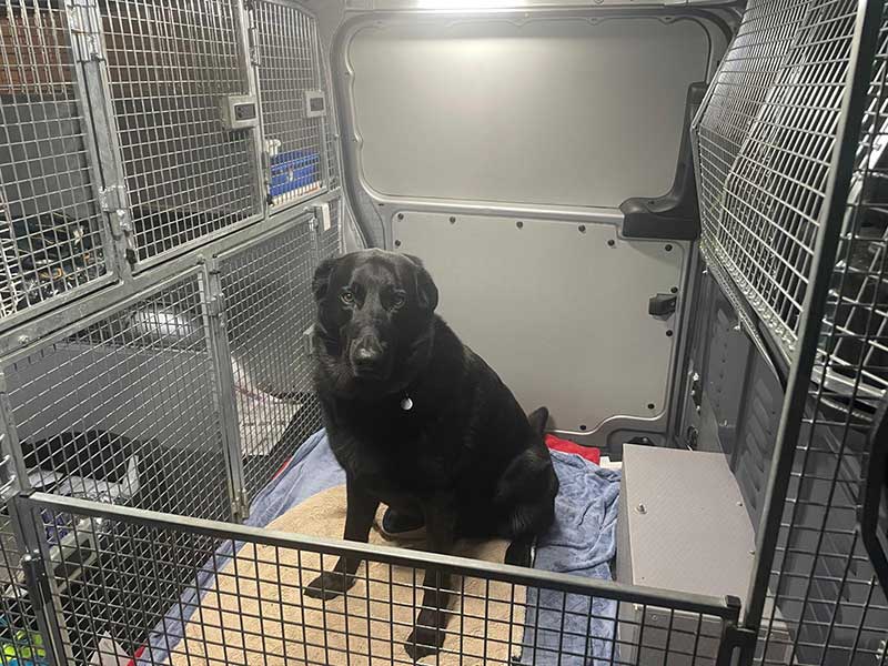 Floki settled in to his bedroom in our van