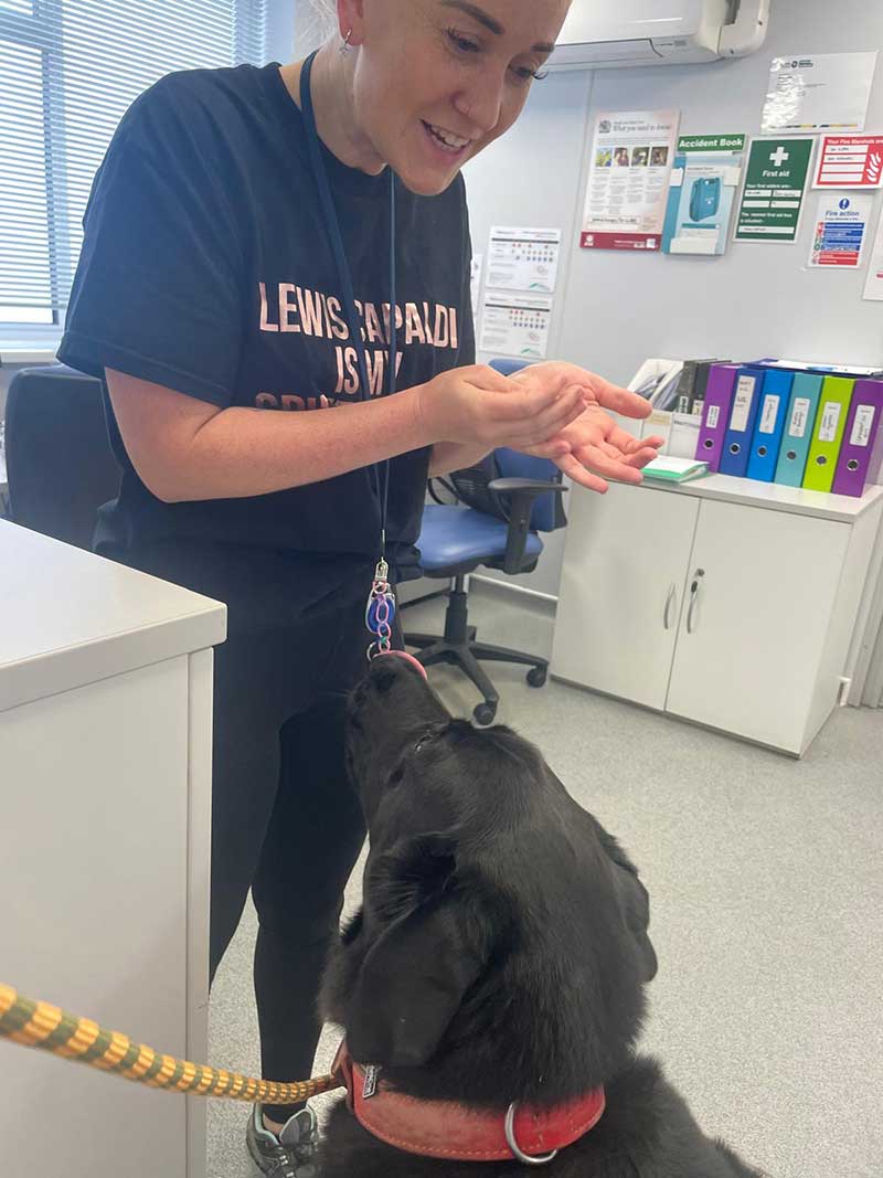 Floki was so good at the vet, taking his worming tablet — a requirement for his animal health certificate (AHC)