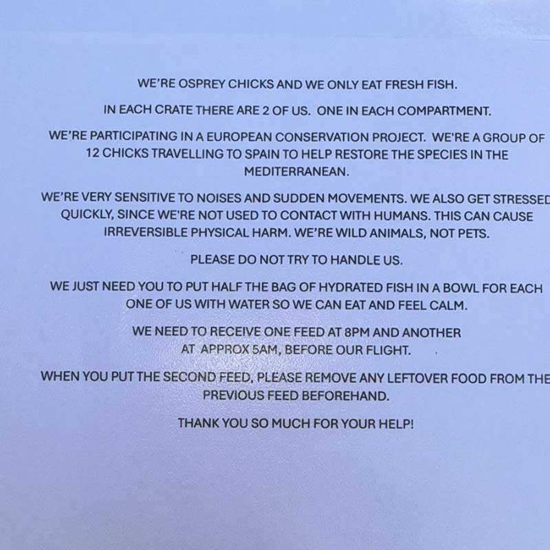 This notice explains the careful process for keeping these delicate birds calm and comfortable on their flight