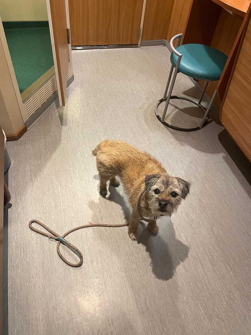 transporting frequent passenger - We took the ferry from Turku in Finland to Stockholm in Sweden