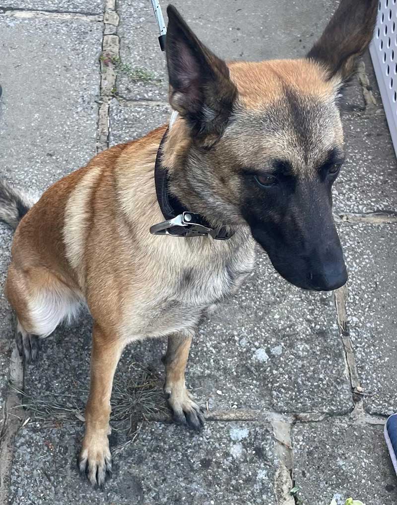 She is very alert and curious
