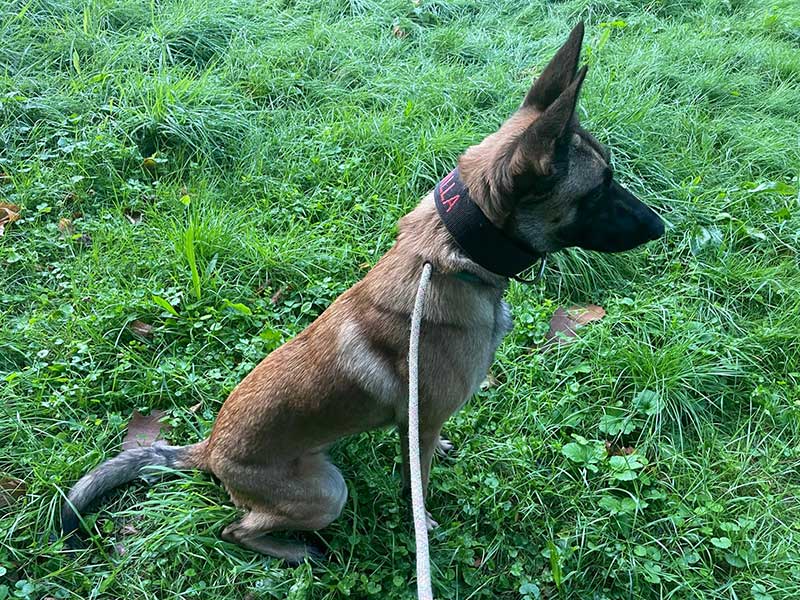 Valhalla shows her very fine profile