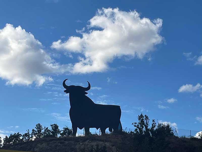 The famous toro of the highway at Ribera Baja in Spain's Basque Country