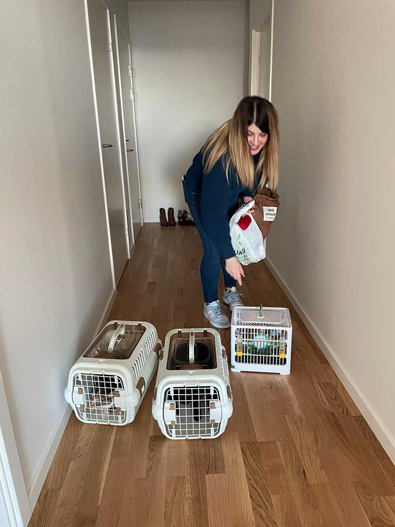 Raquel welcoming the cats and birds to their Danish home