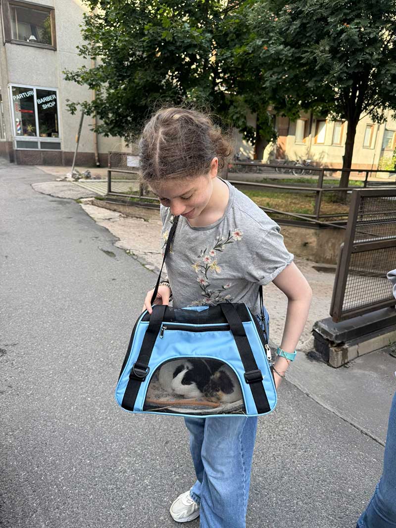 The guinea pigs' owner over the moon to see them again