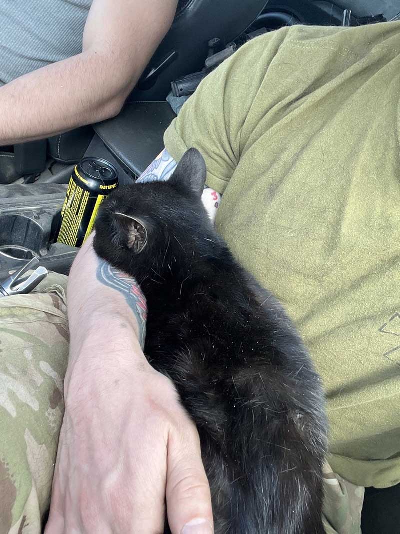 Cuddles for Kettlebell