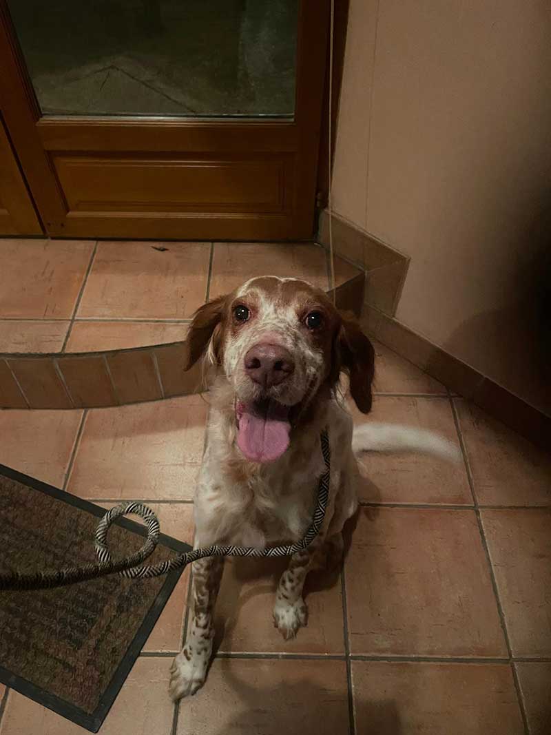 A closer look at Melba