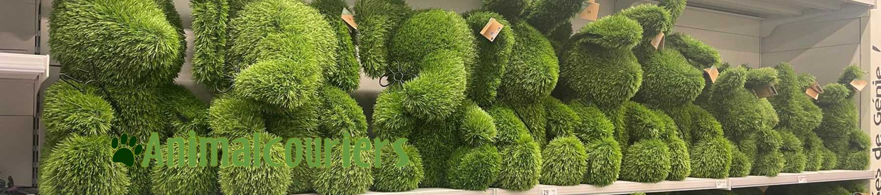 Topiary