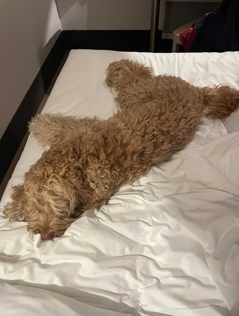 He had a very good night's sleep!