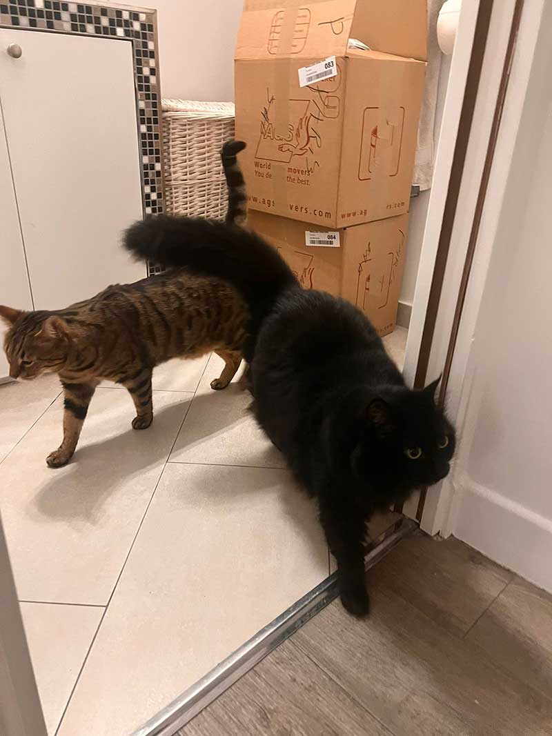 Flo and Elsa exploring their new Parisian abode