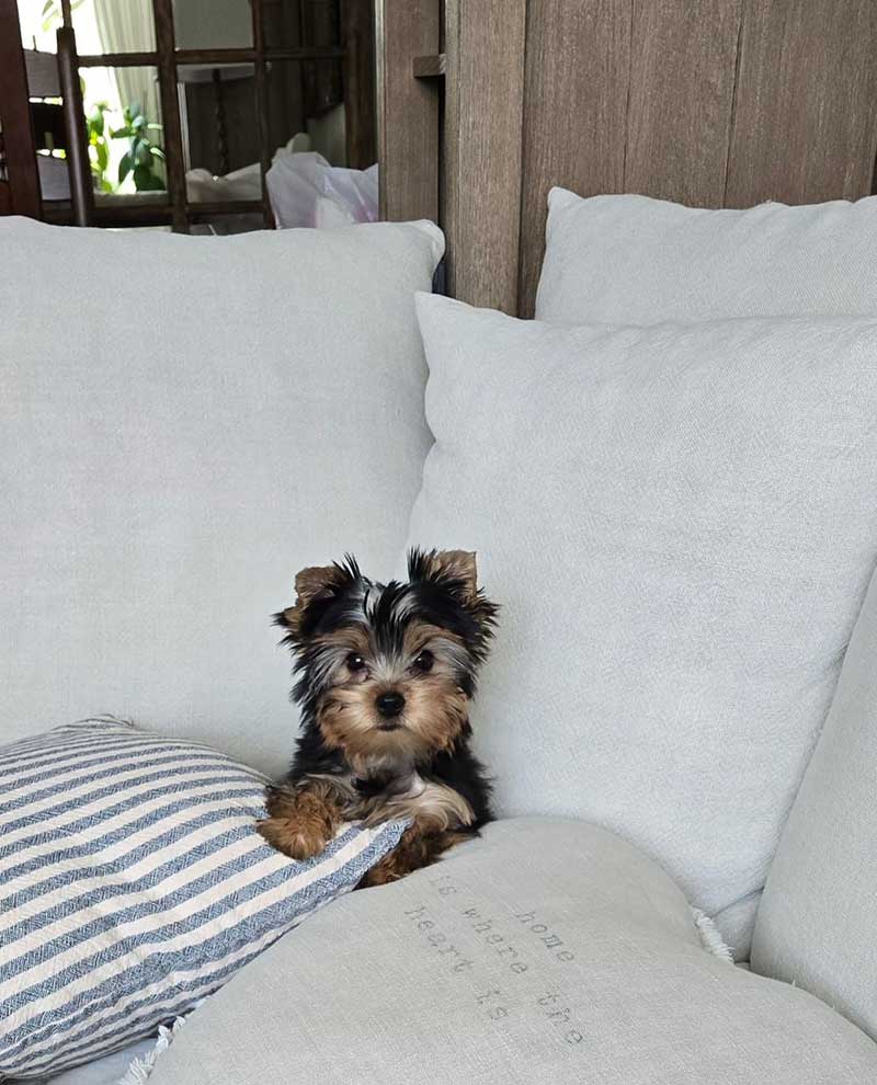A big bed for a tiny fellow!