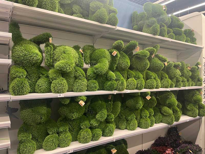 Fun-size topiary for sale