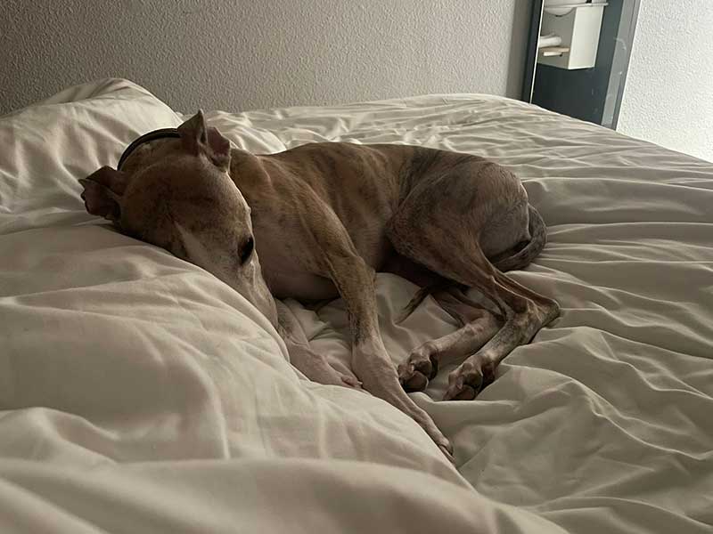 Isabella enjoyed our hotel overnight