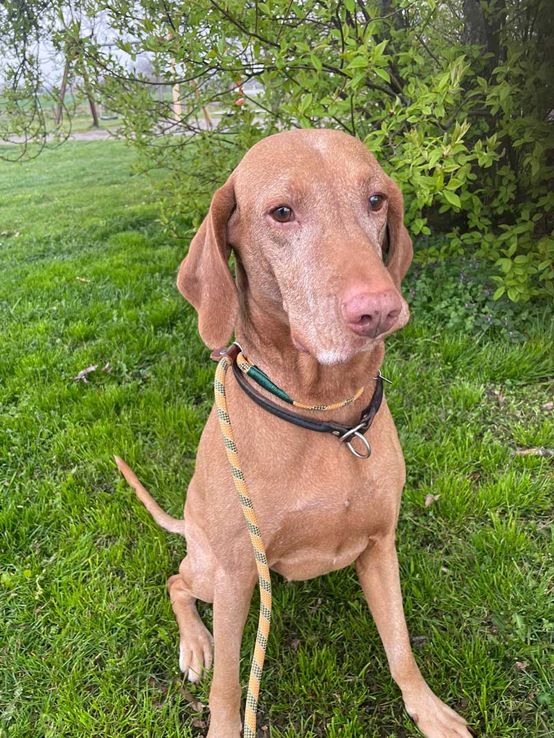 Such a handsome fellow