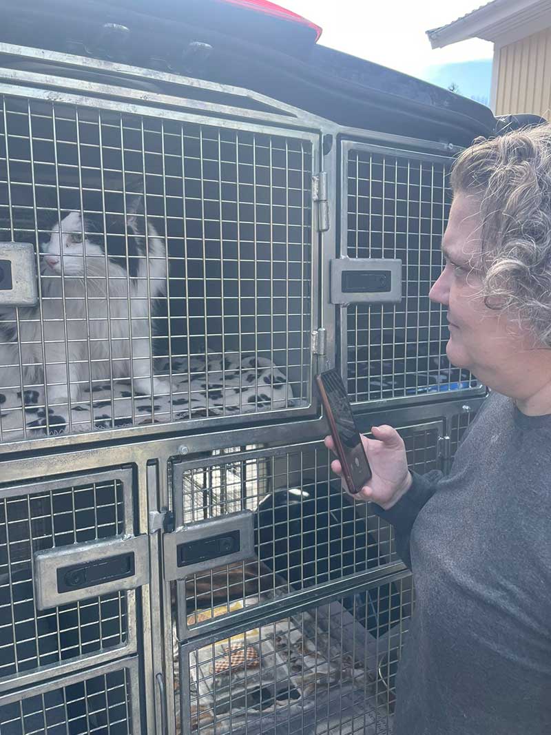 Hayley giving her cats a proper send-off